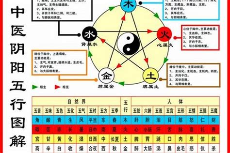 怎麼知道自己五行缺什麼|算五行缺失必看攻略